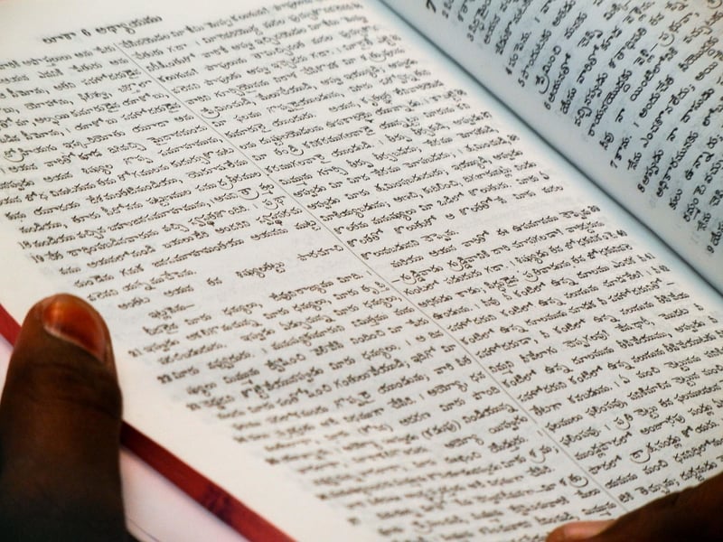 Language Translators